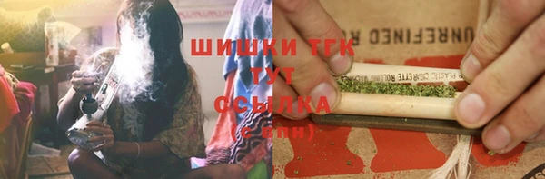 mdpv Ельня