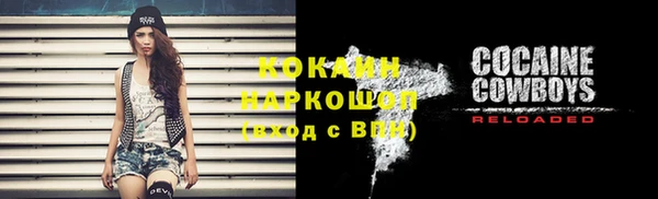 mdpv Ельня