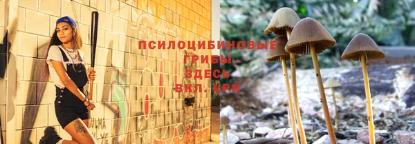 героин Дмитриев