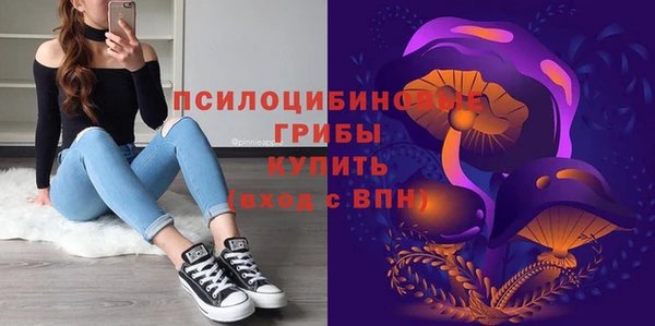 бошки Елизово