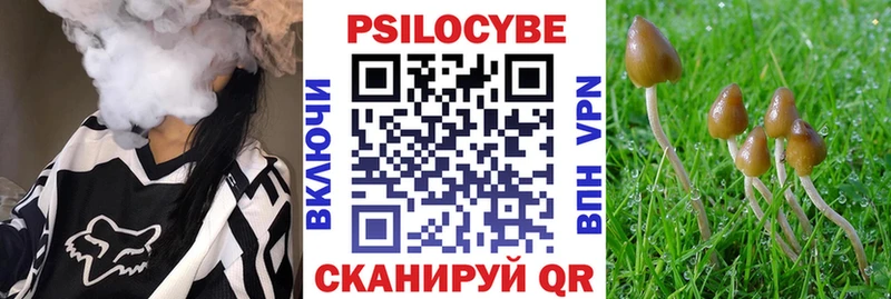 Купить закладки  Алзамай  Псилоцибиновые грибы прущие грибы 
